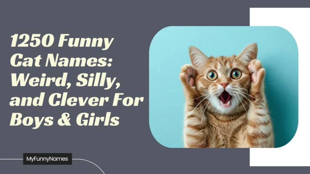 Funny Cat Names