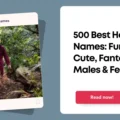 Hobbit Names
