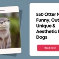Otter Names
